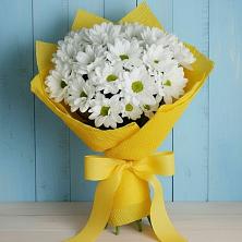 Букет цветов из:  Хризантемы в Красном Воронежской области