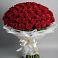 Букет 101 Красная роза Блэк Мэджик в Красном Воронежской области