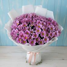 Букет цветов из:  Хризантемы в Красном Воронежской области