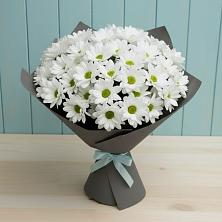 Букет цветов из:  Хризантемы в Красном Воронежской области