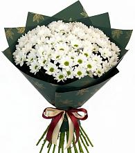 Букет цветов из:  Хризантемы #REPLACE_PRED# Красном Воронежской области