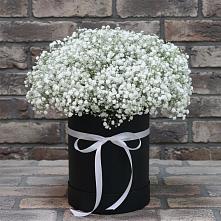 Цветочная композиция из Гипсофила в шляпной коробке в Красном Воронежской области