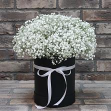 Цветочная композиция из Гипсофила в шляпной коробке в Красном Воронежской области