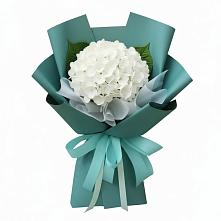 Букет цветов из:  Гортензия в Красном Воронежской области